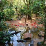 1 brazilian falls bird park and itaipu dam Brazilian Falls, Bird Park and Itaipu Dam