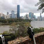 1 brisbane segway sightseeing tour Brisbane Segway Sightseeing Tour