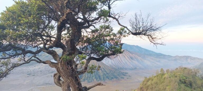 Bromo Mt & Ijen Crater Tour 3D-2N From Jogjakarta