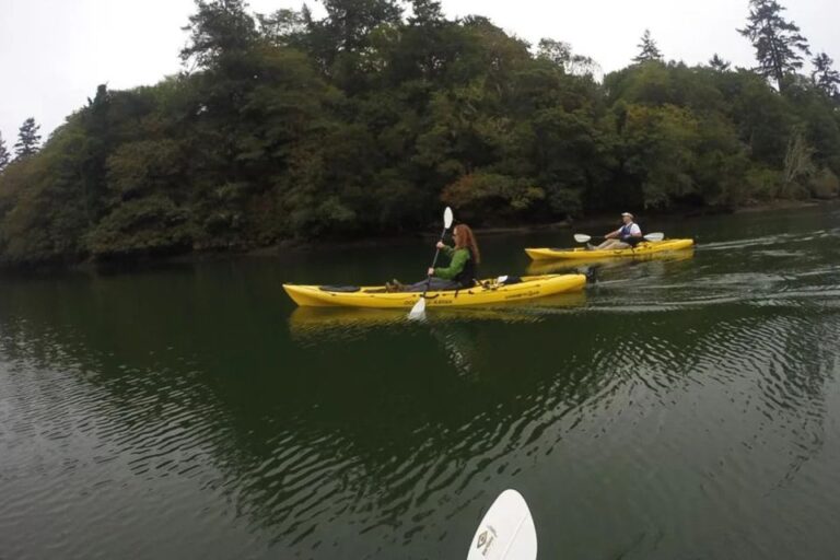 Brookings: Pacific Ocean Kayak Tour