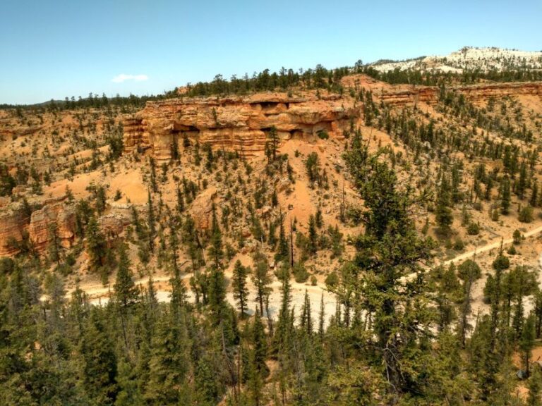 Bryce Canyon City: Red Canyon Horse Riding Day Trip W/ Lunch