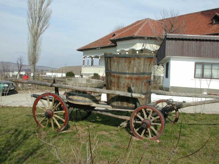 Bucharest: Slanic Salt Mines and Wine Tasting Tour