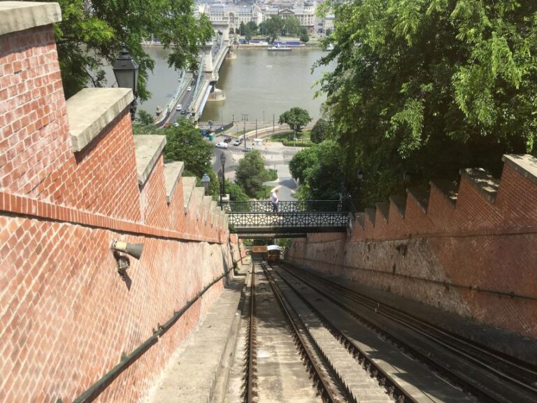 Buda Castle: Private Walking Tour