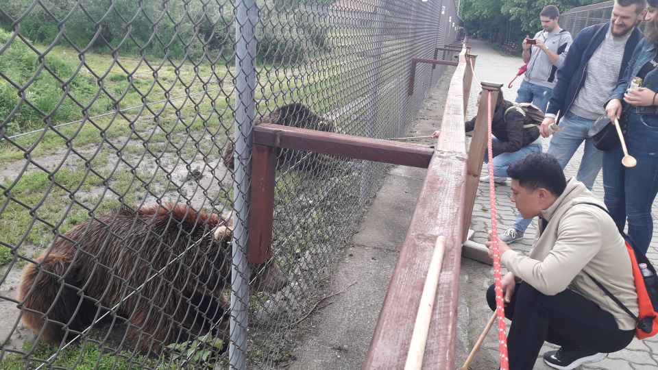 1 budapest transport guided tour of bear and wolf sanctuary Budapest: Transport & Guided Tour of Bear and Wolf Sanctuary