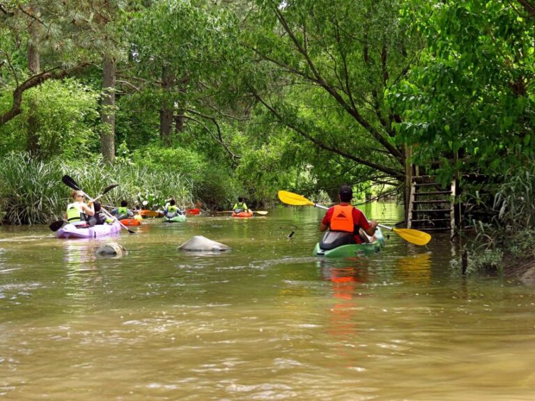Buenos Aires: Delta by Kayak With Transfer