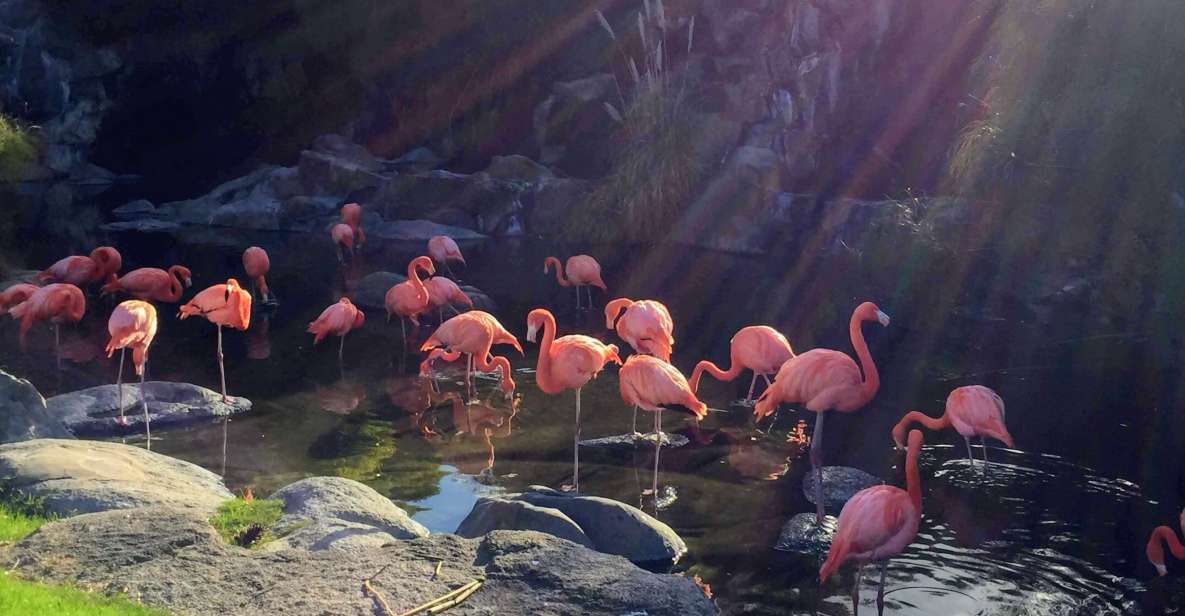 Buenos Aires: Temaiken Biopark With Transfers - Experience Itinerary