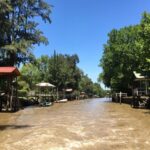 1 buenos aires tigre day tour with lunch and sailing trip Buenos Aires: Tigre Day Tour With Lunch and Sailing Trip