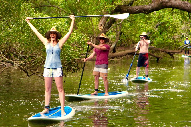 Byron Stand Up Paddle Nature Tour