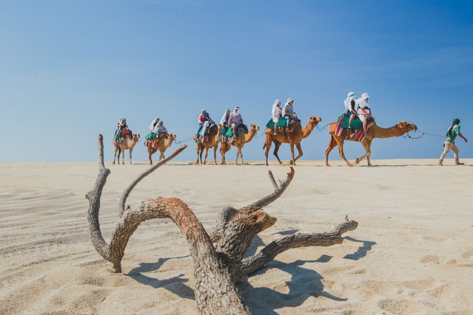 1 cabo atv and camel combo adventure tour Cabo: ATV and Camel Combo Adventure Tour