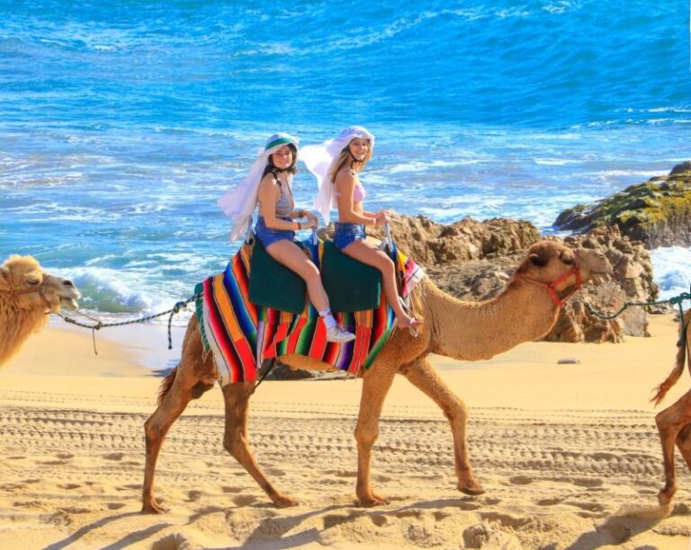 Cabo Beach: Desert Camel Tour With Mega Burrito & Tequila