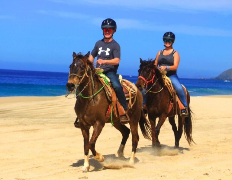 Cabo San Lucas: Beach & Desert Horseback Riding Tour