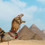 1 cairo 12 day egypt highlights private tour w accommodation Cairo: 12-Day Egypt Highlights Private Tour W/ Accommodation