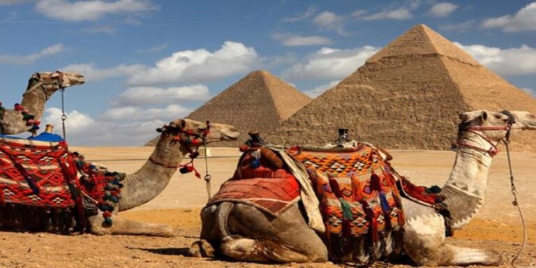 Cairo: Giza Pyramids Tour With Camel Ride and Tickets