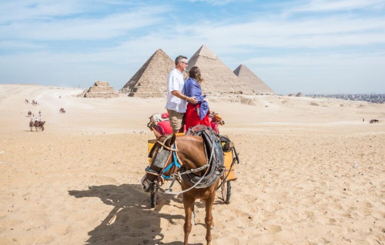 Cairo: Half Day Pyramids Tour by Camel or Horse Carriage