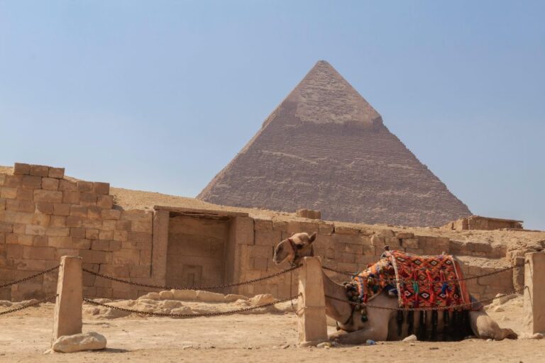 Cairo: Layover Tour With Pyramids, Museum, and Dinner Cruise