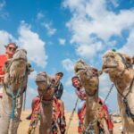 1 cairo pyramids quad bike adventure optional camel ride Cairo: Pyramids Quad Bike Adventure & Optional Camel Ride