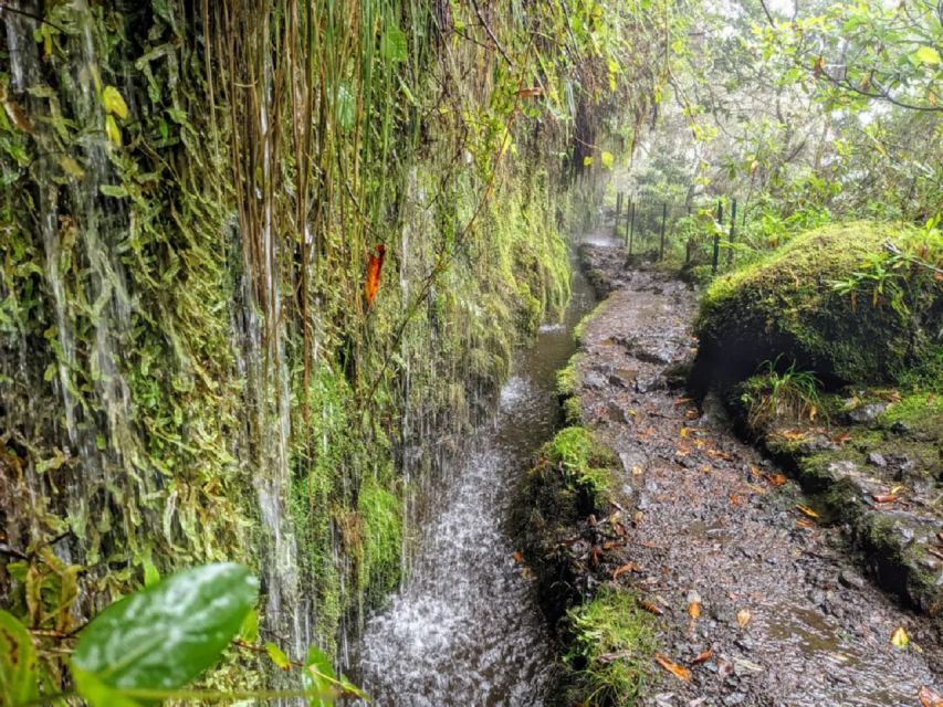 1 caldeirao verde levada roundtrip transfer hike Caldeirão Verde Levada: Roundtrip Transfer & Hike