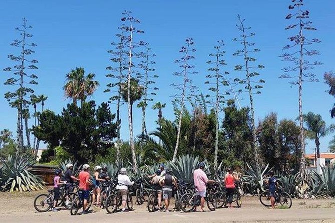 Cali Dreaming Electric Bike Tour of La Jolla and Pacific Beach