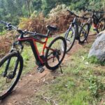 1 camacha levada trail e bike guided tour Camacha: Levada Trail E-Bike Guided Tour
