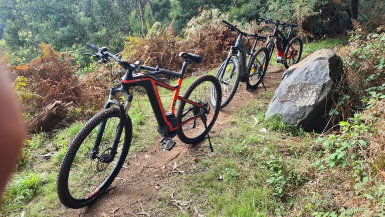 Camacha: Levada Trail E-Bike Guided Tour