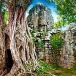 1 cambodia angkor wat full day tour siem reap Cambodia Angkor Wat Full Day Tour - Siem Reap