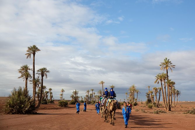 Camel and Quad Biking Tour From Marrakech