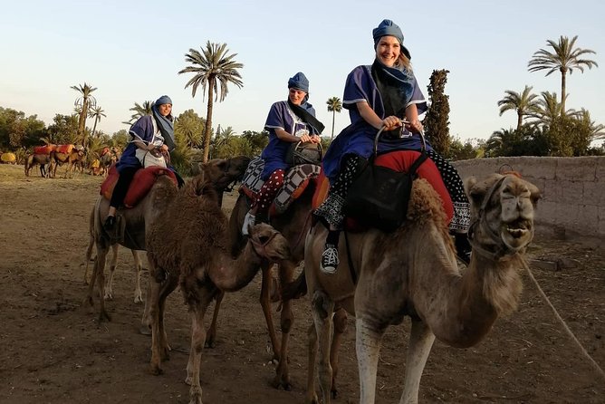 Camel Ride at the Palm Groves in Marrakech