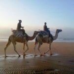 1 camel ride on the beach of essaouria Camel Ride on the Beach of Essaouria
