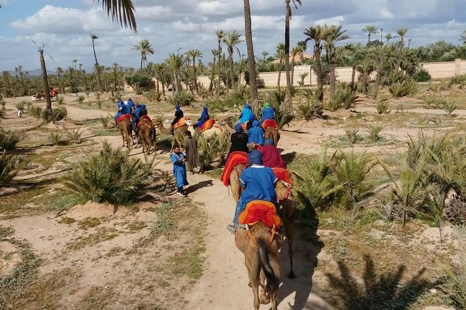 Camel Ride & Quad Bike Tours in the Palm Grove of Marrakech
