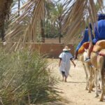 1 camel ride quad biking half day in marrakech Camel Ride & Quad Biking Half Day in Marrakech