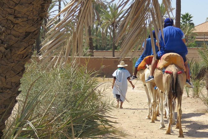 1 camel ride quad biking half day in marrakech Camel Ride & Quad Biking Half Day in Marrakech