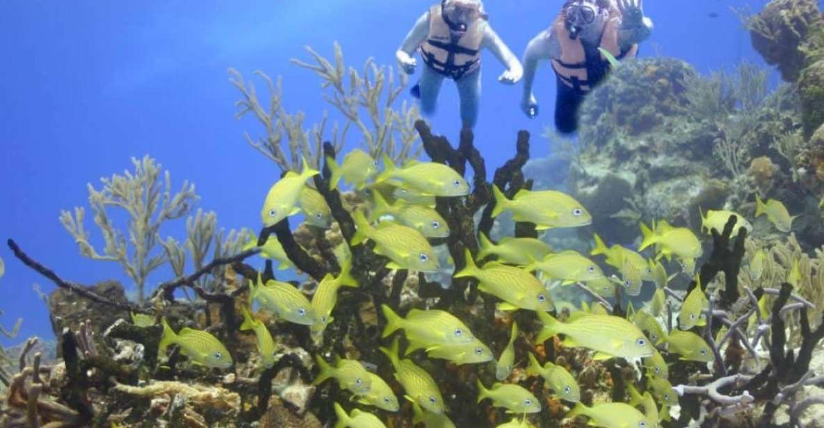 1 cancun cancun cenote tour snorkeling Cancun: Cancun Cenote Tour & Snorkeling