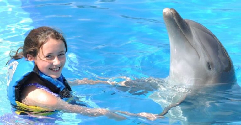 Cancún: Dolphin Encounter on Isla Mujeres With Buffet