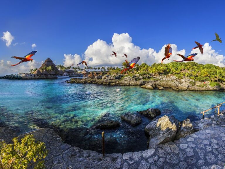 Cancun & Riviera Maya: Xcaret & Xplor Parks With Transport
