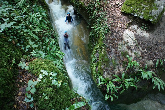 Canyoning Discovery 3 Hours in Aix Les Bains / Chambéry: Ternèze
