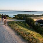 1 cape coast wineries self guided scenic bike tour from napier Cape Coast Wineries Self-Guided Scenic Bike Tour From Napier
