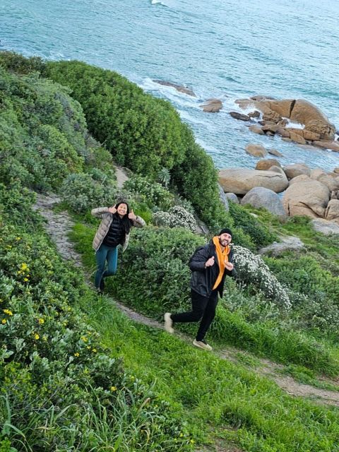 Cape of Good Hope & Penguins Private Tour