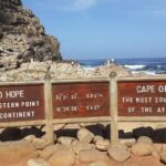 1 cape of good hope sightseeing and african penguins tour Cape of Good Hope: Sightseeing and African Penguins Tour