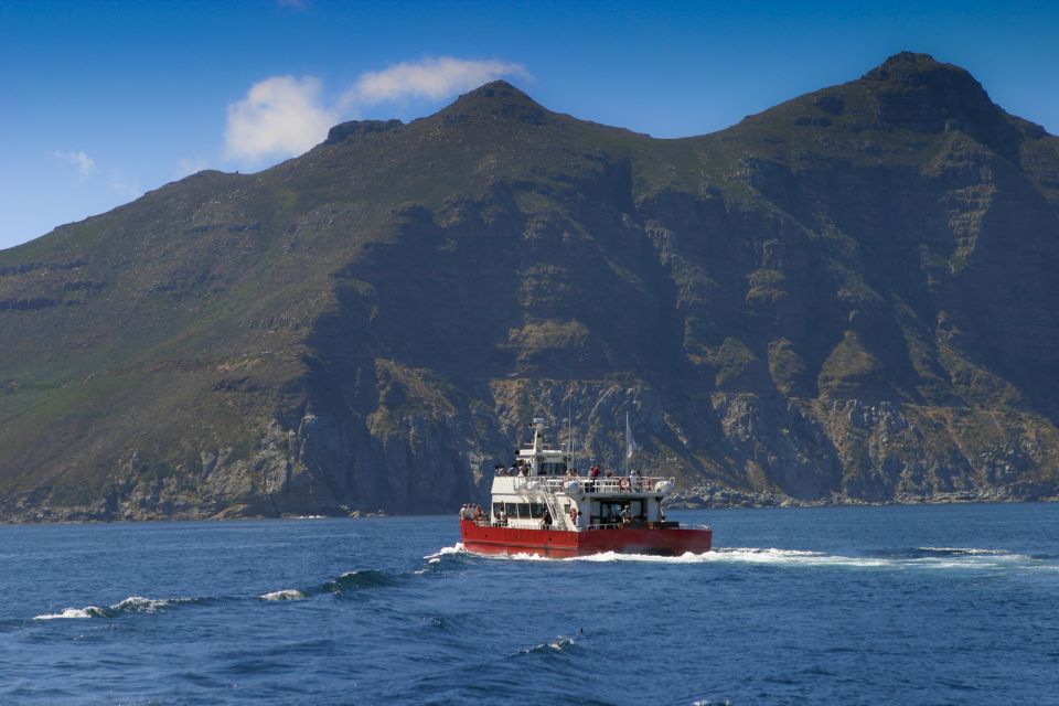 1 cape peninsula full day tour from cape town Cape Peninsula Full-Day Tour From Cape Town