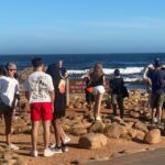 1 cape point peninsula full day tour Cape Point & Peninsula Full Day Tour