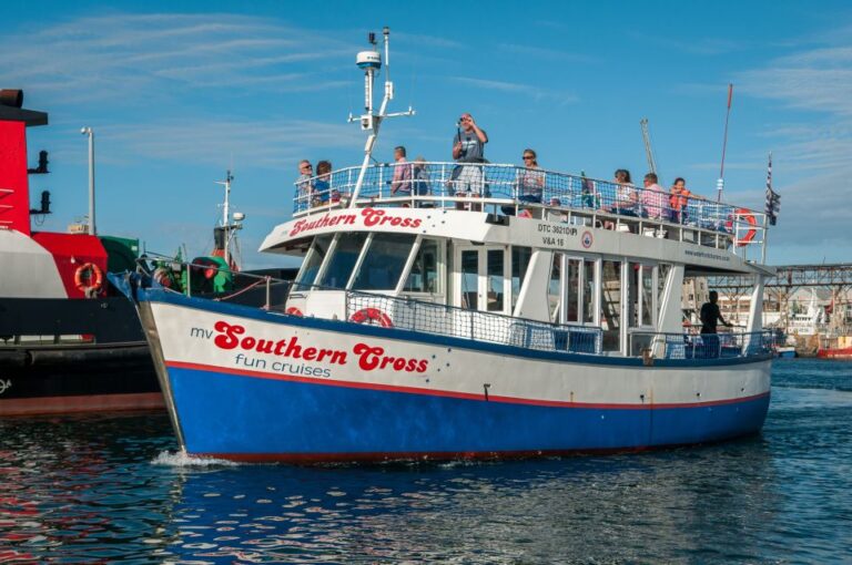 Cape Town: 15 Minute Harbour Boat Cruise With Seal Watching