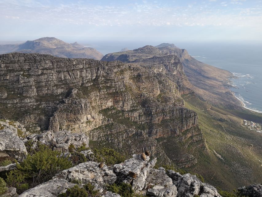 Cape Town: 3-Hour Table Mountain Hike Via Platteklip Gorge