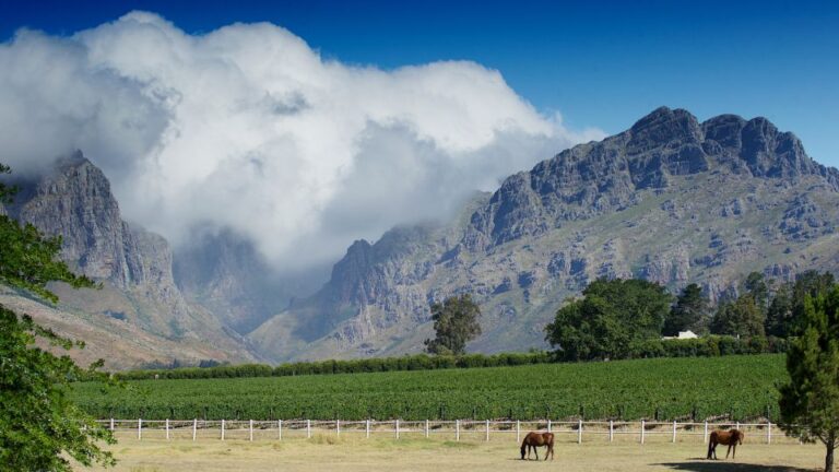 Cape Town: 3 Regions Private Cape Winelands Tour
