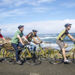 1 cape town 9 hour cape point private guided cycling tour Cape Town: 9-hour Cape Point Private Guided Cycling Tour