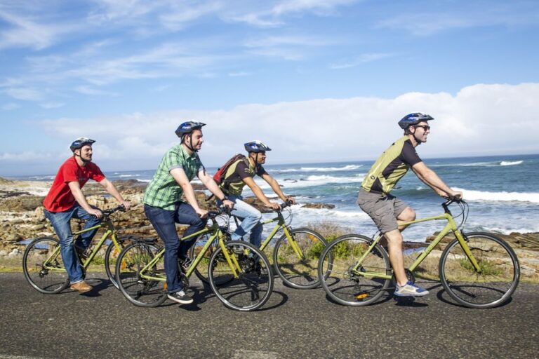 Cape Town: 9-hour Cape Point Private Guided Cycling Tour