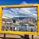 1 cape town best of the cape private tour Cape Town: Best of the Cape Private Tour