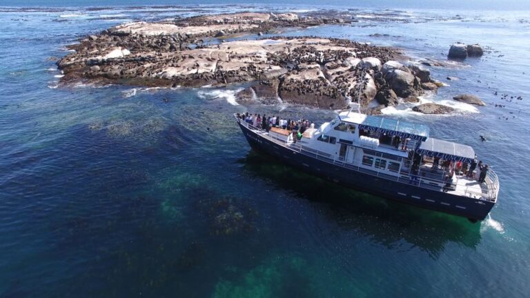 Cape Town: Cape of Good Hope, Seals and Penguins Day Tour