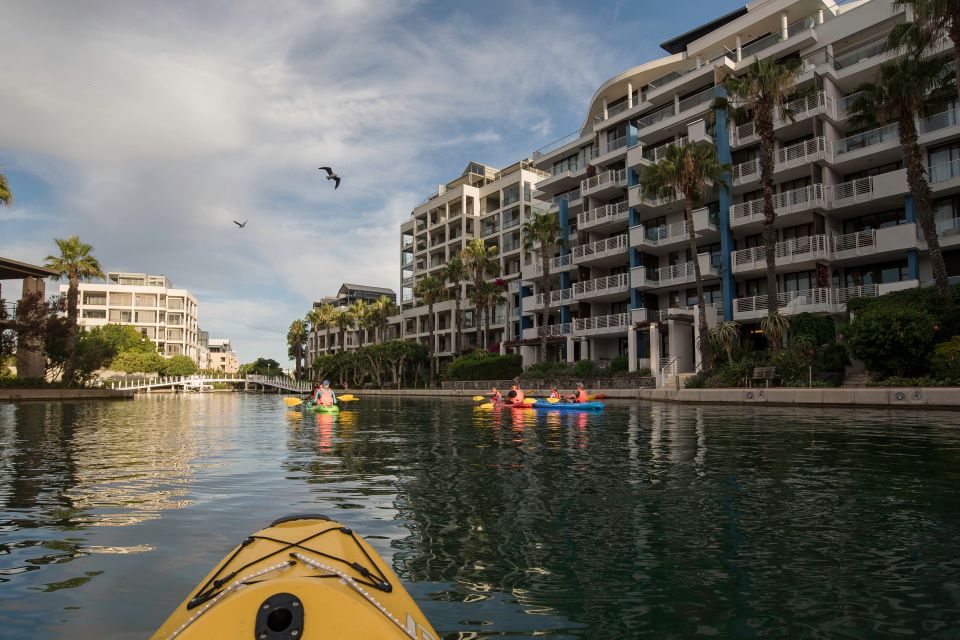 1 cape town day or night guided kayak tour in battery park Cape Town: Day or Night Guided Kayak Tour in Battery Park