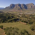 1 cape town full day wine tasting tour with wine tram Cape Town: Full-Day Wine Tasting Tour With Wine Tram