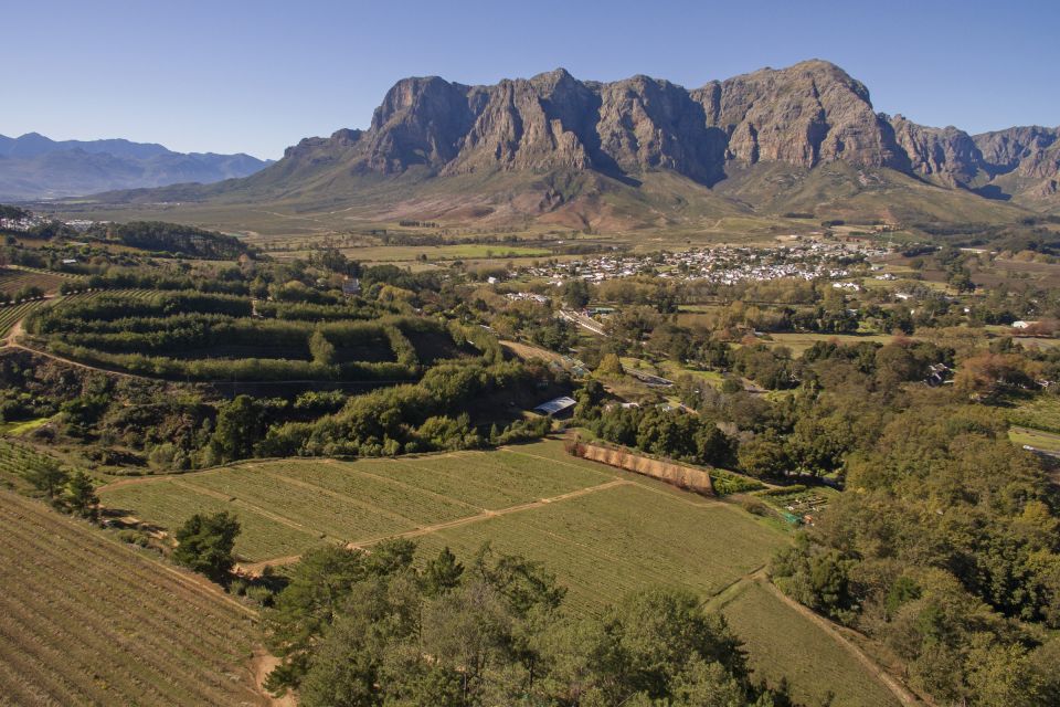 1 cape town full day wine tasting tour with wine tram Cape Town: Full-Day Wine Tasting Tour With Wine Tram